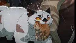 WarriorCats clips