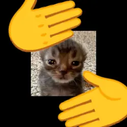 QQAZ_BOTTLEGG slowed