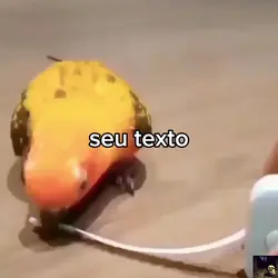seu texto