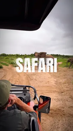 safariday