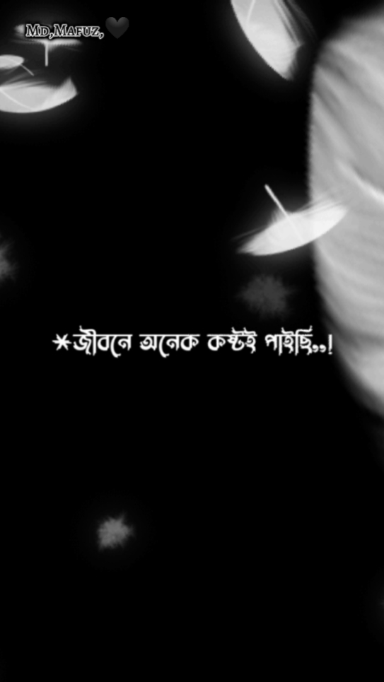 তুমি হারানো কষ্টটা 