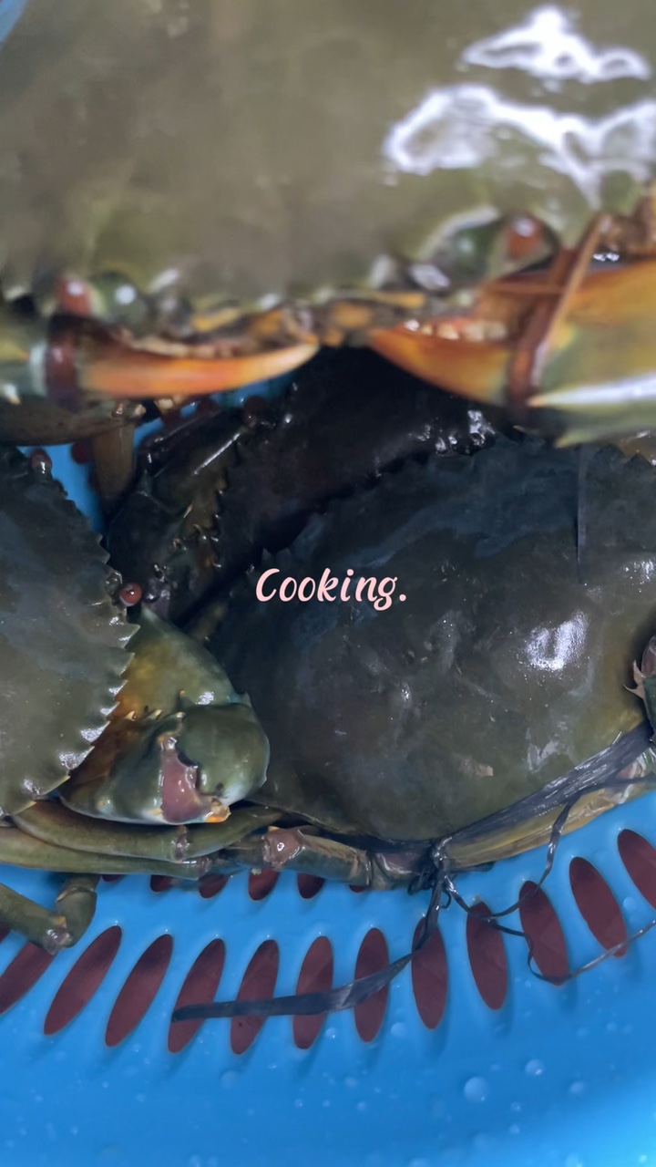 Cooking. Vidio