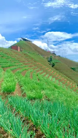 Pemandangan alam