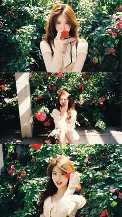 Aesthetic | Templ