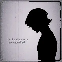 OHAVİDEO