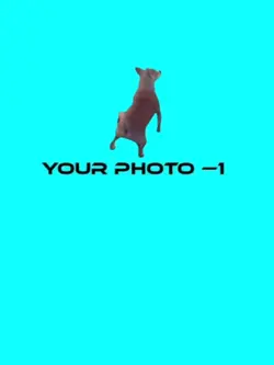 Namae template video