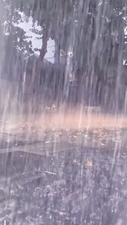 Rain