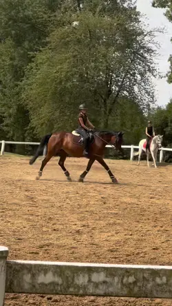 TROT slowmo