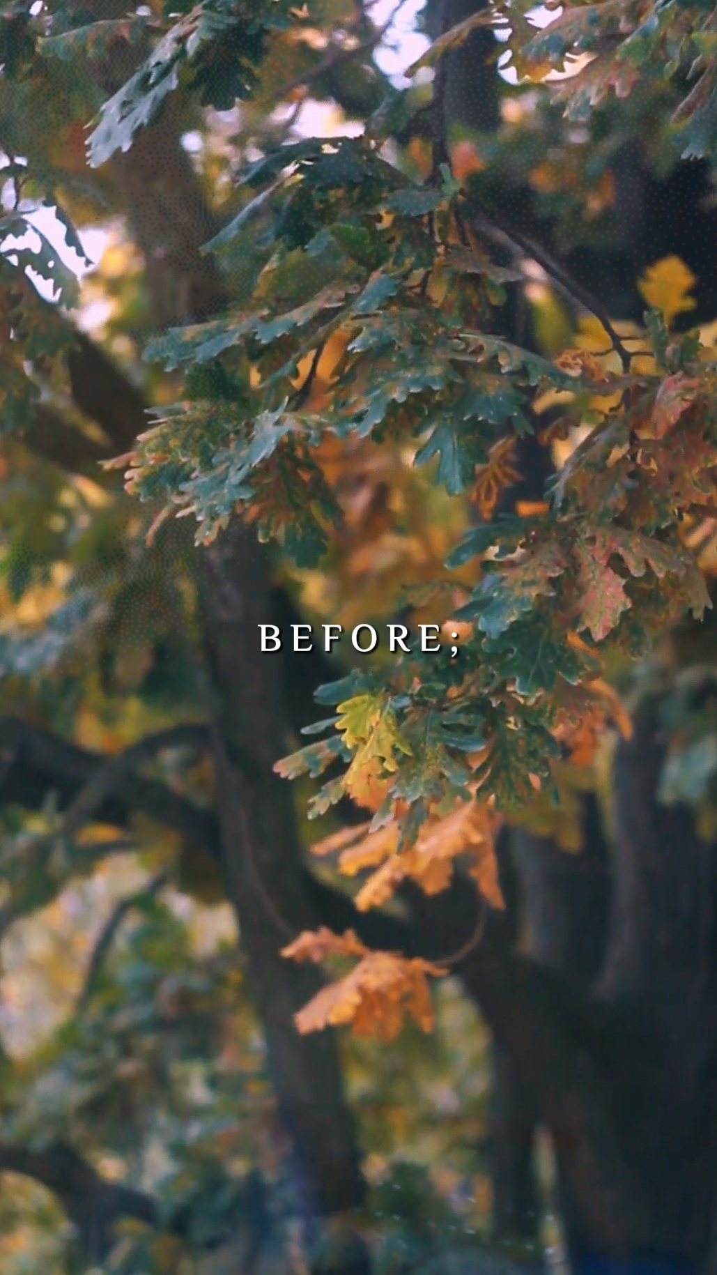 Antes Vs Depois
