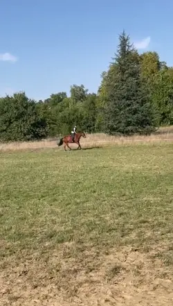 Cette scéance..