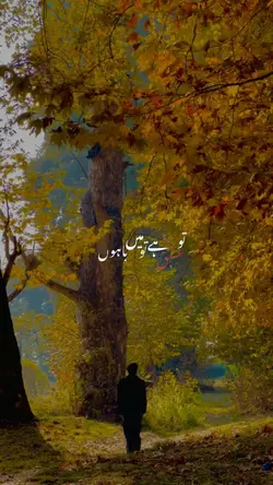 Tu ishq hai me 