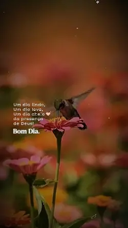 Bom dia