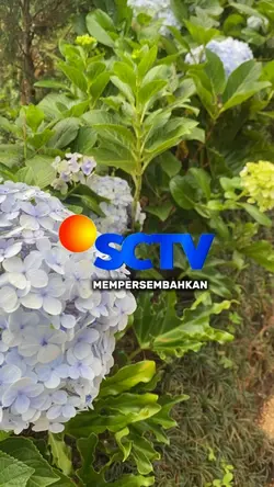 SCTV mempersembahkan