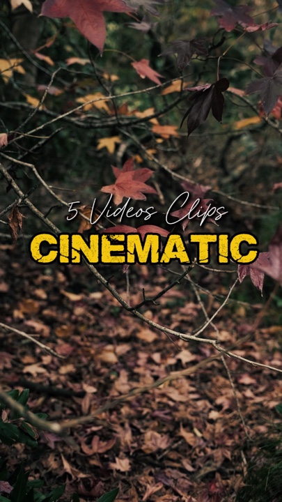 Cinematográfica 5 Vídeos 