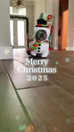 Christmas pet