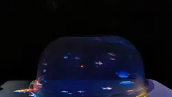 HOLOGRAM 3D