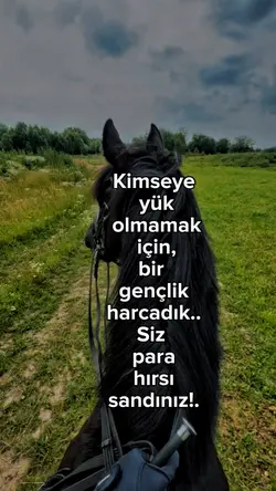 Yeni şablon