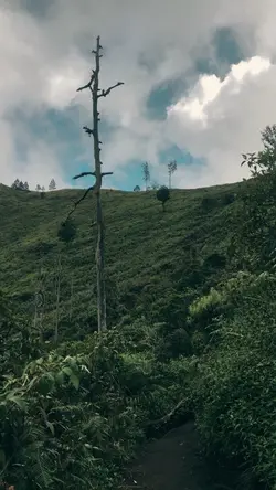 Ku kira kau rumah