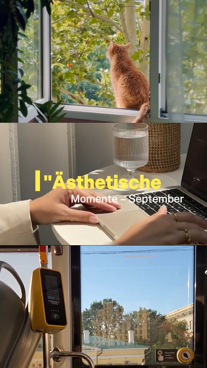 Ästhetische Momente