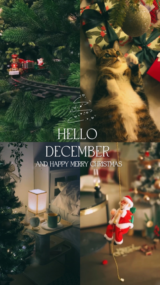 Hola diciembre 