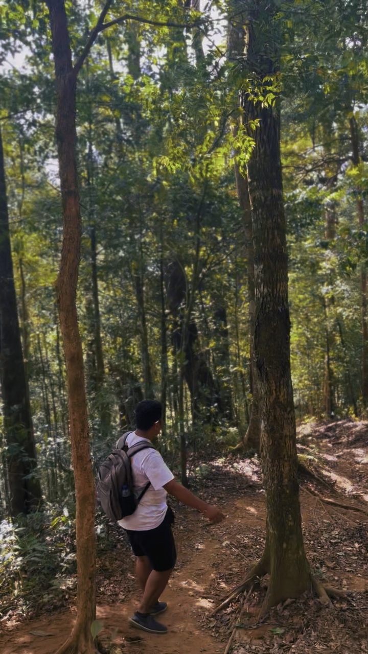 Vlog tracking