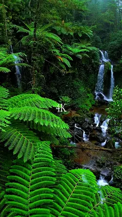144p VS 4K