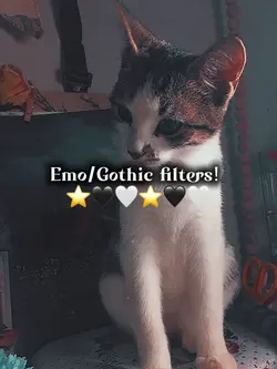 Emo/Goth filters 🖤⭐️