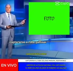 Roba gallinas