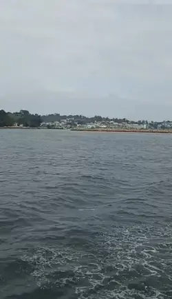 american pei