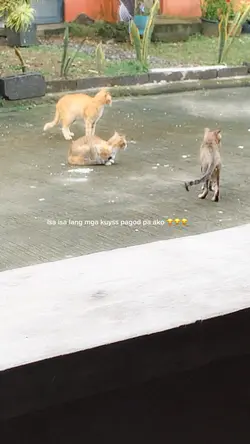 FUNNY OSCAR