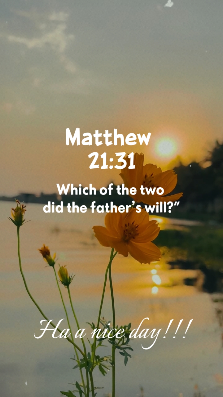 Mateus 21: 31