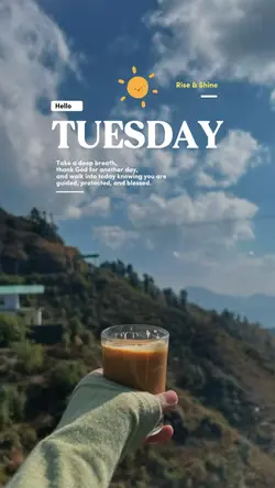 Hello Tuesday 🌞