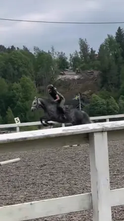 Love u love u love u