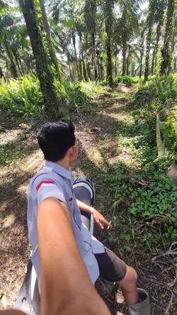 Tangisan anak rantau