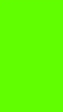 Prince Charles paint