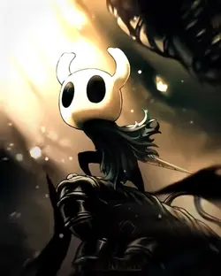 HOLLOW KNIGHT