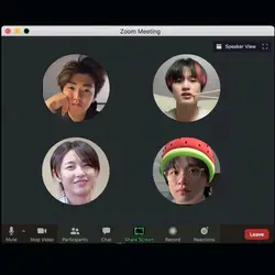 ZOOM MEETING 