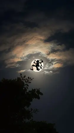 Gear 5 Silhouette