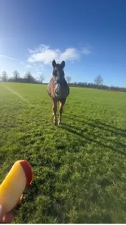 rip my lil chezzy💝