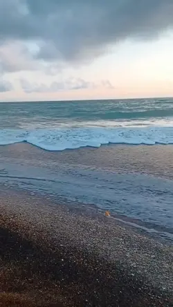 Batida suave mar 