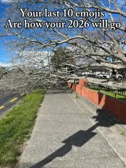My 2026