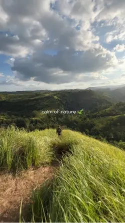 Nature 🍃