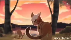 WarriorCats clip