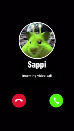 Face time with sappi