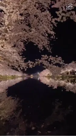 짝남 염색 했는데 개 잘생겼어요 ㅠ