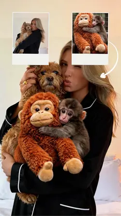 Punch the monkey