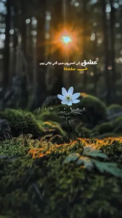 Ishq e Haider a.s❤️🩹