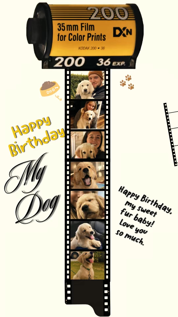 Happy birthday dog 