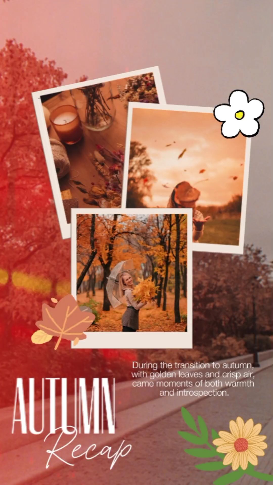 Autumn Recap