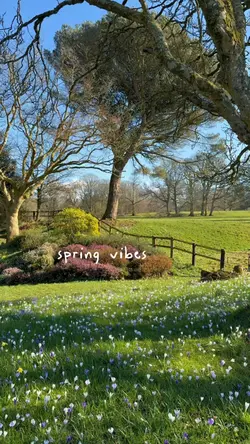 spring vibes